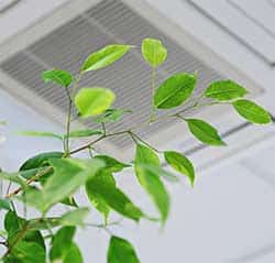 humidifier-installation