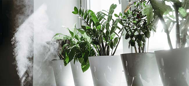 whole-house-humidifiers